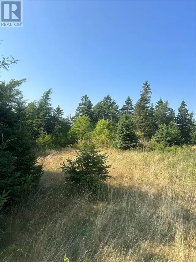 0 Beaver pond Road Road Roaches Line, Newfoundland & Labrador in Land for Sale in St. John's - Image 5