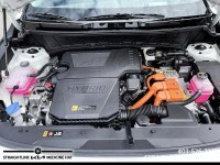 *All pictures are an accurate representation of vehicle being sold. Southland Kia is a Licensed AMVI... (image 7)