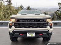 4WD Crew Cab 147 Custom Trail Boss ... Engine: Gas V8 5.3L/325 Safety Equipment Daytime Running Lamp... (image 7)