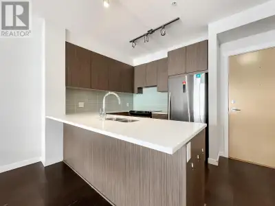 301 9168 SLOPES MEWS Burnaby, British Columbia