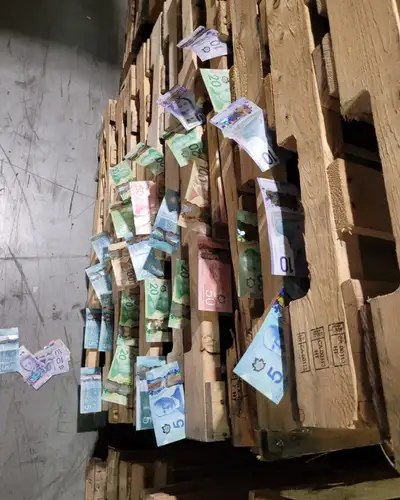 we have wooden or plastic pallets in door use outdoor use 48x40+, View more