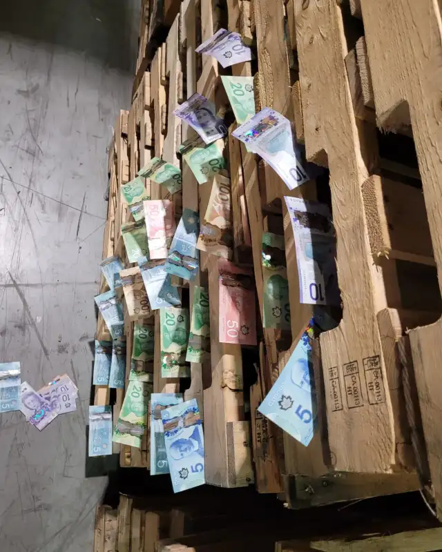 we have wooden or plastic pallets in door use outdoor use 48x40+ in Outdoor Tools & Storage in Mississauga / Peel Region - Image 2