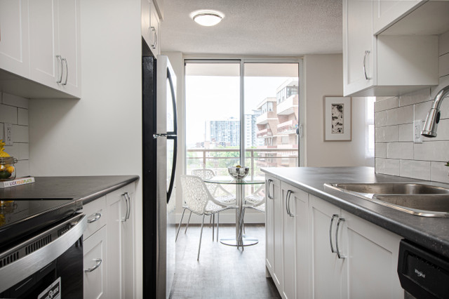 Villa Marie 3 - 1 Bedroom Apartment for Rent in Long Term Rentals in Hamilton - Image 3