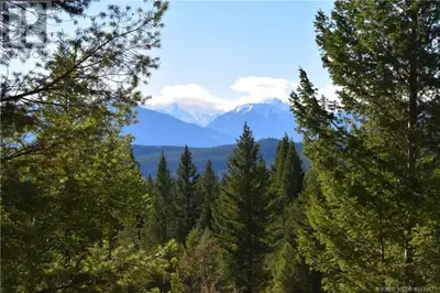 Welcome to Elk Park Ranch! The community of Elk Park includes several enclaves of spacious single-fa...