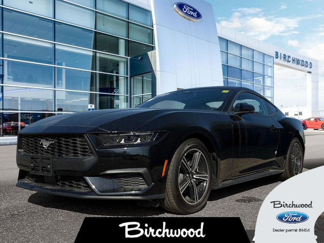 2025 Ford Mustang EcoBoost Premium 2.3L | Paint Protection Film  in Cars & Trucks in Winnipeg