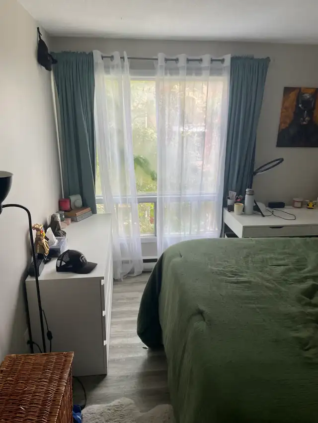 Beautifully Renovated 1-Bedroom Apartment for Rent in Arnprior in Long Term Rentals in Renfrew - Image 6