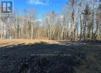 1757 4TH CONCESSION ROAD Norfolk (St. Williams), Ontario Norfolk County Ontario Preview
