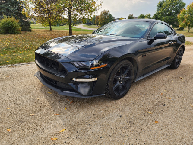 2019 Ford Mustang GT 5.0L V8 6 SPD Manual, Black Rims dans Autos et camions  à Winnipeg - Image 2