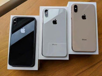 iPhone Xs Max 64GB for $379 - Unlocked with warranty