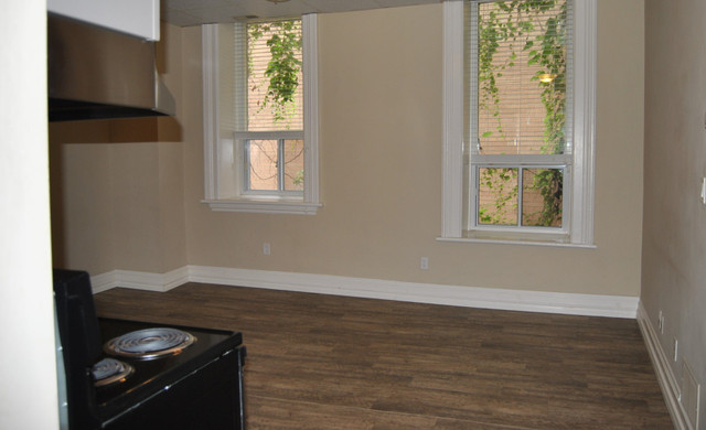 Cozy One Bedroom Downtown in Long Term Rentals in Guelph - Image 3