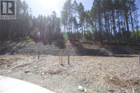 113 Whitefish Pl Nanaimo, British Columbia Nanaimo British Columbia Preview