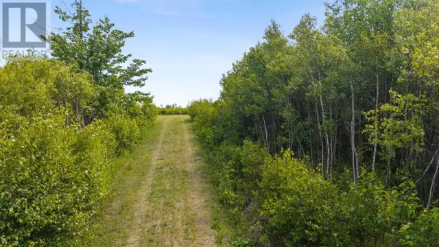 Lot 4 Johnston's Way Chance Harbour, Nova Scotia in Land for Sale in New Glasgow - Image 16