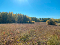 3 Acres Parcel, 3 miles from Thunder Lake