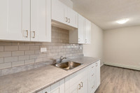 Amenities: Quiet Building • Air Conditioning • Updated Appliances Suite & Building: Bachelor, one-,... (image 4)