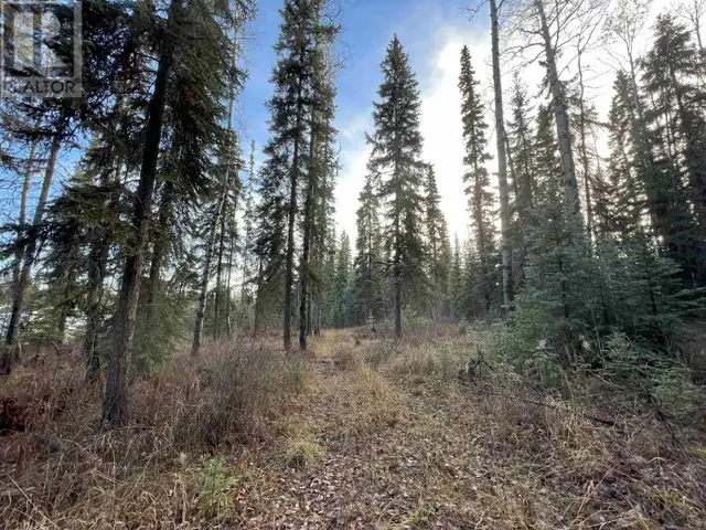 LOT 5 CLEARVIEW DRIVE Burns Lake, British Columbia in Land for Sale in Burns Lake - Image 7