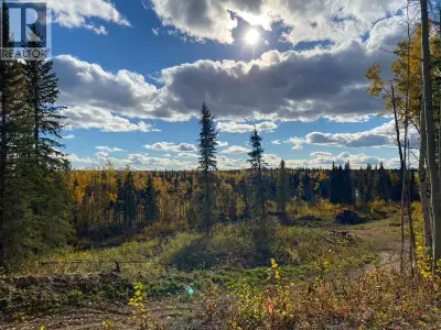 Rare 155 acre River View property just 15 minutes from Vanderhoof. Fronting Braeside Road and extend...