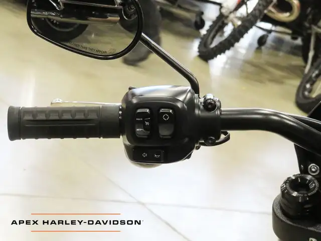2025 Harley-Davidson FXLRS - Low Rider S in Street, Cruisers & Choppers in Cambridge - Image 12