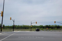 Bell Blvd Across From Casino | Schedule to See this Land Today