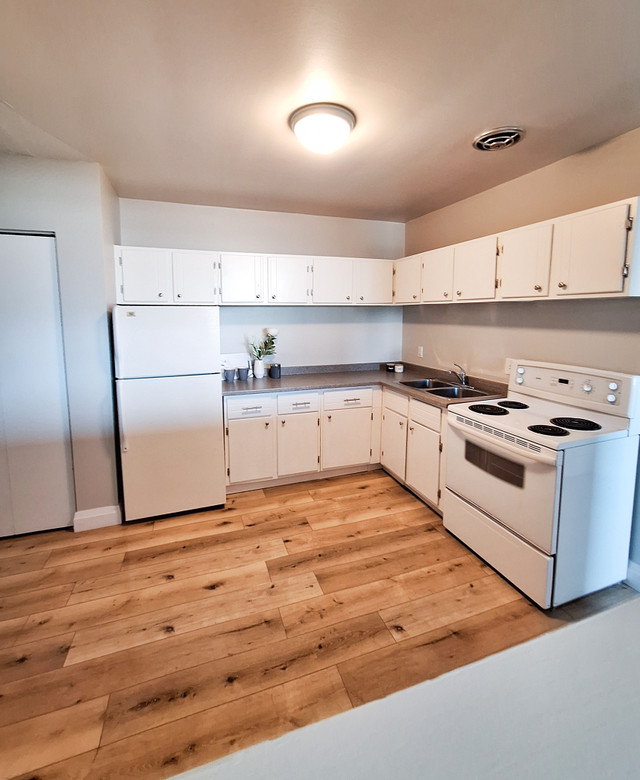 2 Bedroom Apartment in SSM in Long Term Rentals in Sault Ste. Marie - Image 2