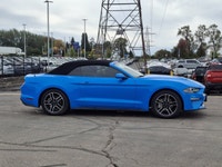 Look at this certified 2022 Ford Mustang EcoBoost Premium | Leather | Nav | Cooled + Heated Seats |... (image 5)