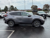 Recent Arrival! Certified. EX-L|AWD|Leather|Sunroof|CarPlay 2022 Honda CR-V EX-L EX-L|AWD|Leather|Su... (image 8)
