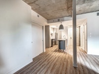 Studio 2.5 2 1/2 3-rental apartment for rent-logement locatif-Saint-Henri-Griffintown-Sud-Ouest-Sout... (image 7)