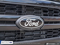 Engine: 5L 8cyl. L/100Km City: 14.9 L/100Km Hwy: 10.2 Safety Equipment ABS And Driveline Traction Co... (image 8)