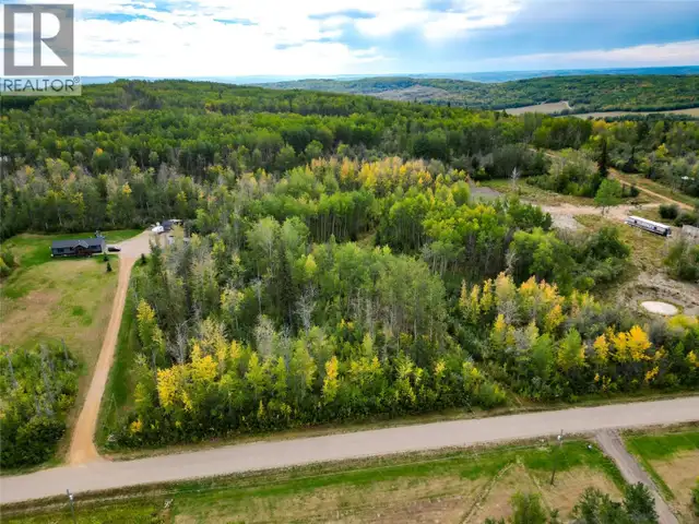 Lot 4 203 Road Dawson Creek, British Columbia in Land for Sale in Dawson Creek - Image 2