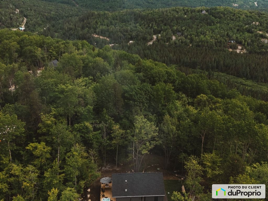 $699,000 - Cottage for sale in St-Côme — photo 3