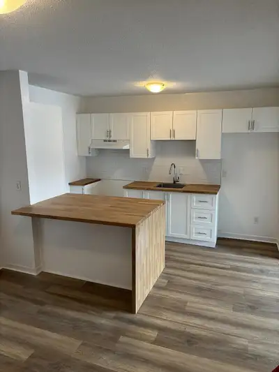 3 1/2 rénové disponible. Immeuble tranquille et bien entretenu avec ascenseur, planchers de béton, e...