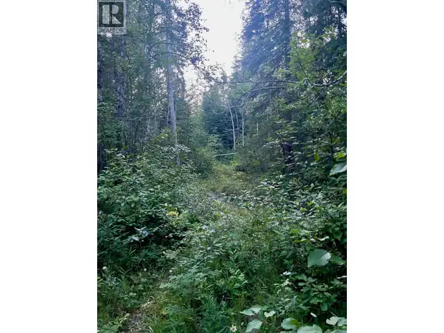 Lot 1 Neville Road Golden, British Columbia in Land for Sale in Revelstoke - Image 14