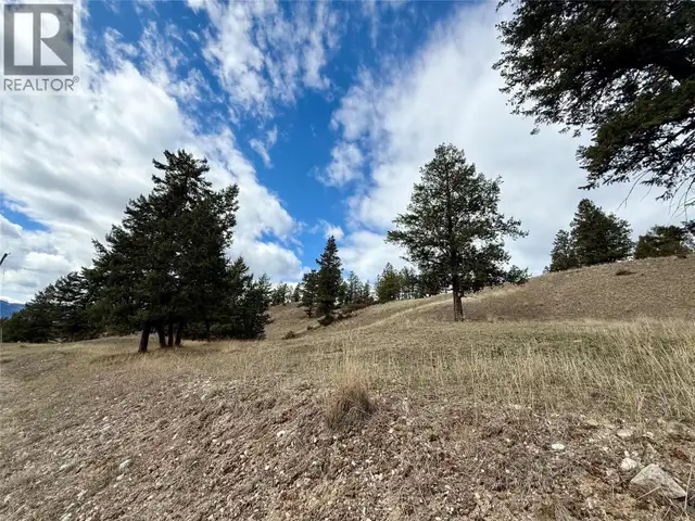 2400 KOOTENAY RD NO 3 Road Lot# 2 Windermere, British Columbia in Land for Sale in Cranbrook - Image 12