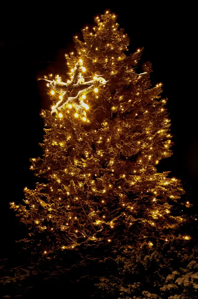 Actual Experienced Christmas Light installers