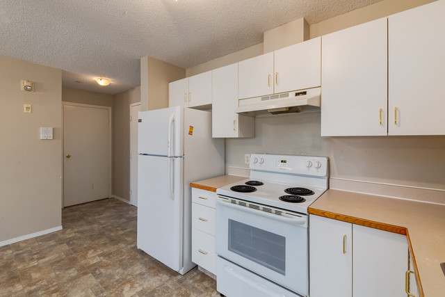 Modern Apartments with Gym! - Amberwynd Apartments - Apartment f in Long Term Rentals in St. Albert - Image 4