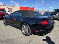 Trade In Vehicle**Ford**Mustang**V6**3.7L**Automatic**Convertible**Back Up Camera**Bluetooth**Paddle... (image 3)