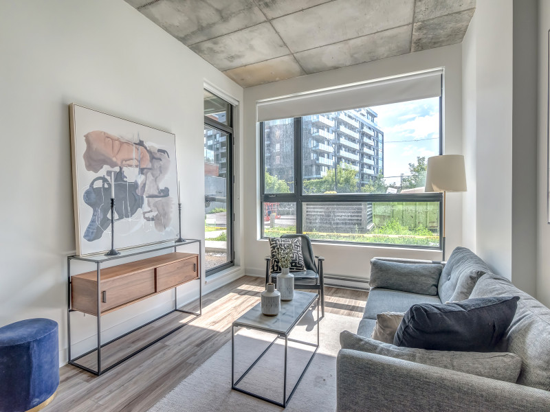 3 1/2 condo appartement à louer GRIFFINTOWN, 1cc neuf dans Locations longue durée  à Ville de Montréal