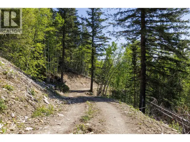 3260 MOUNTAIN VIEW ROAD McBride, British Columbia in Land for Sale in Quesnel - Image 6