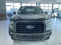 The 2016 Ford F-150 XLT V8 is a powerful full-size pickup truck that delivers impressive performance... (image 7)