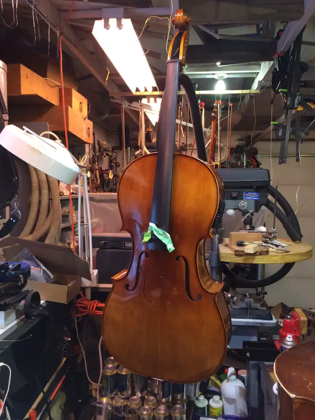 Violin, cello and string instrument Luthier550222902529239044