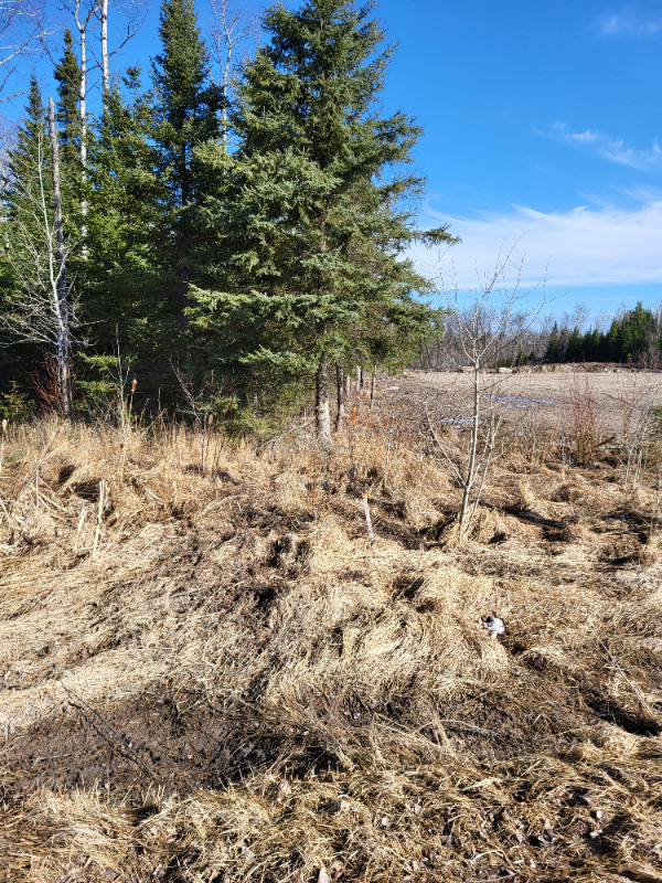 Vacant Land - Lot 3 Jones Road in Land for Sale in Kenora - Image 2