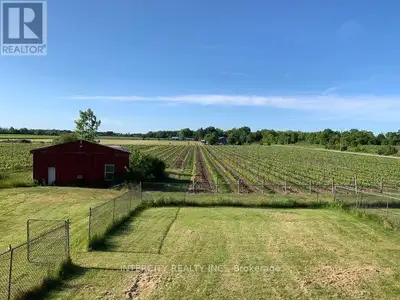 Located in picturesque Niagara-on-the-Lake, this 13.27 acres vineyard with ridal, riesling cabernet...