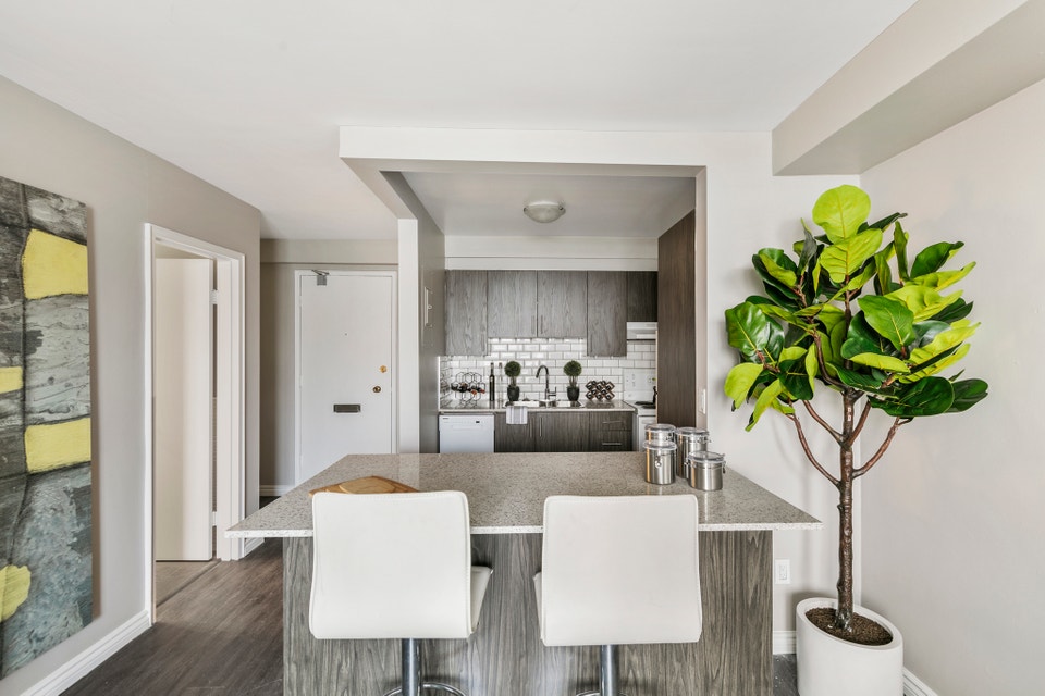 Practical Jr. 1 Bedroom Apt - Amazing Location on Riverside 2