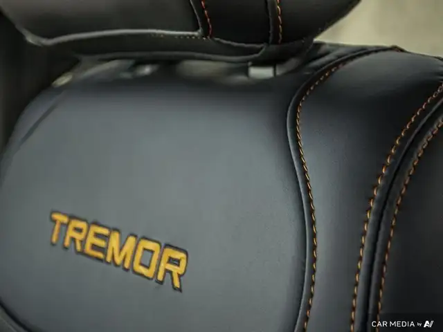 2025 Ford F-150 Tremor in Cars & Trucks in Edmonton - Image 26