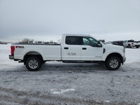 Michener Allen Auctioneering Ltd ( PV ) - Edmonton This is for sale in the March 12 - 14, 2026 Unres... (image 6)