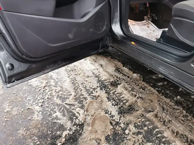 2017 Ford Escape SE652388010067211211
