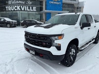 Trail Boss, Low Km's, 5.3L, Dark Essentials Pkg, Black Assist Steps, Tow Pkg W/Trailer Brake Control... (image 3)