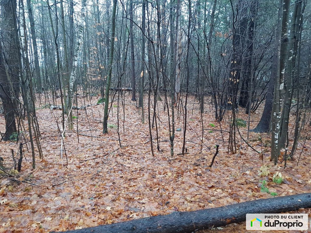 244 900$ - Terrain résidentiel à vendre à Gatineau (Aylmer) in Land for Sale in Gatineau - Image 2