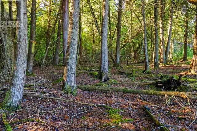 30 HURON PARK ROAD Northern Bruce Peninsula, Ontario in Land for Sale in Owen Sound - Image 33