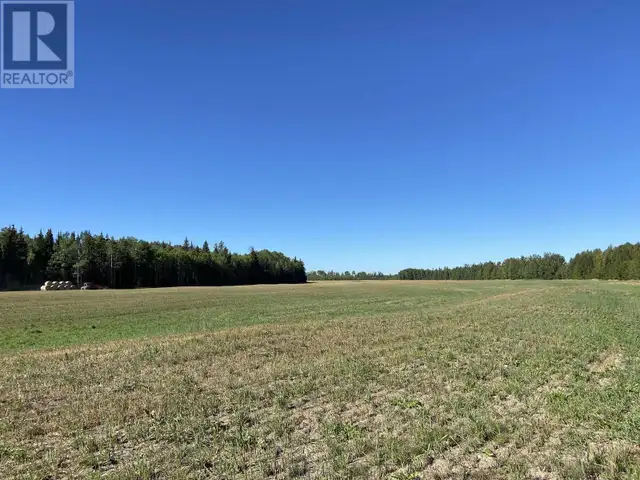 NECHAKO RIVER Vanderhoof, British Columbia in Land for Sale in Vanderhoof - Image 9