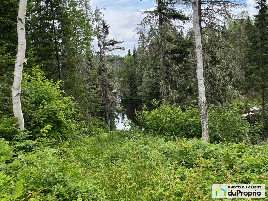 $125,000 - Residential Lot for sale in Péribonka — photo 2